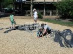 Dino Buried Statue
