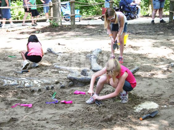 Dino Buried Statue