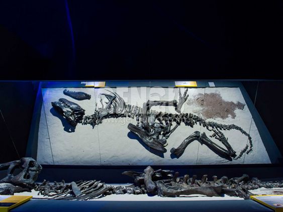 Dino Buried Statue