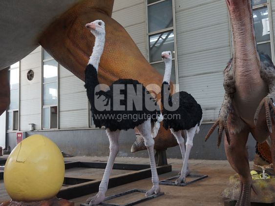 Ostrich