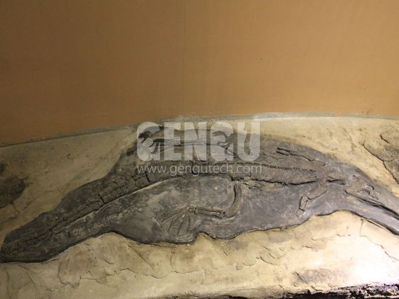 Dino Buried Statue