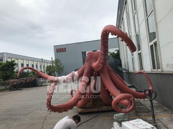 Octopus