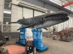 Balaenoptera