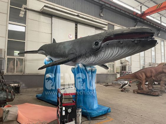 Balaenoptera