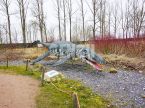 Kronosaurus