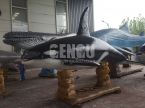 Killer whale