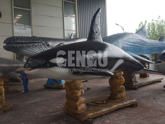 Killer whale