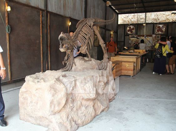 T-Rex Skeleton