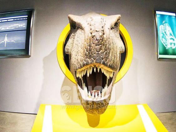 T-rex Head