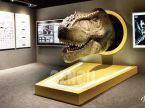 T-rex Head