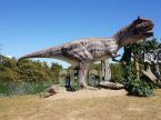 Carnotaurus