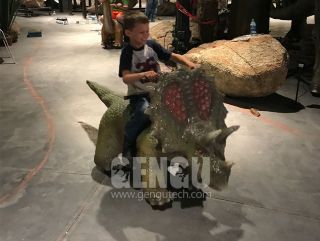 Small Dinosaur Ride