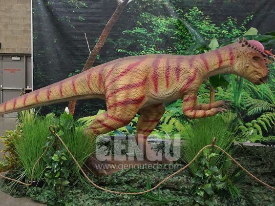Pachycephalosaur