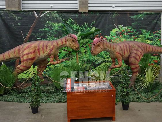 Pachycephalosaur