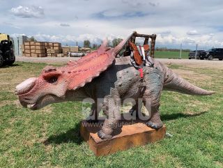 Pachyrhinosaurus Ride