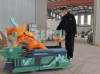 Triceratops Cruise Car