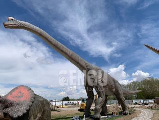 Brachiosaurus