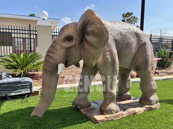 Elephant