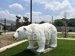 Polar Bear