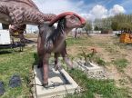 Parasaurolophus