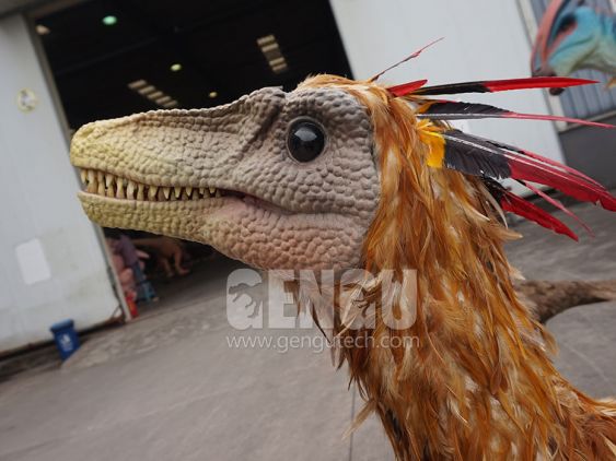 Troodon