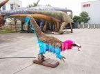 Heterodontosaurus