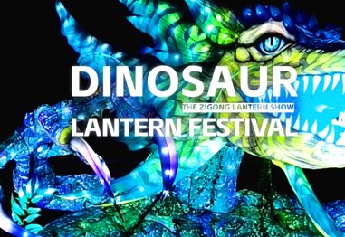 How to Choose a Dinosaur Lantern Supplier?