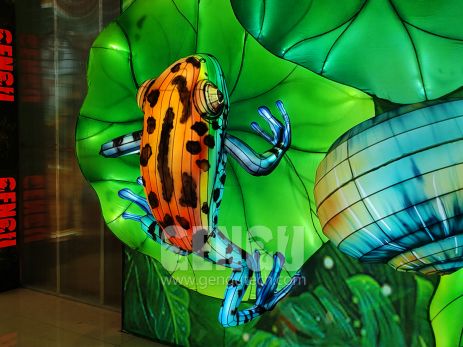Lantern Insects