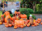 Halloween Jack-O-Lantern