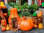 Halloween Jack-O-Lantern