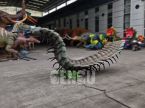 Centipede