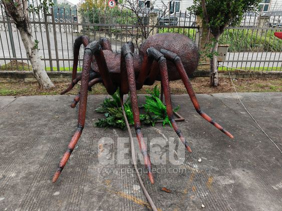 Spider