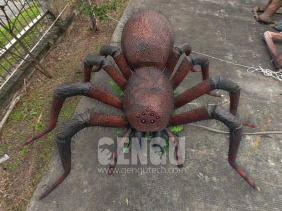 Spider