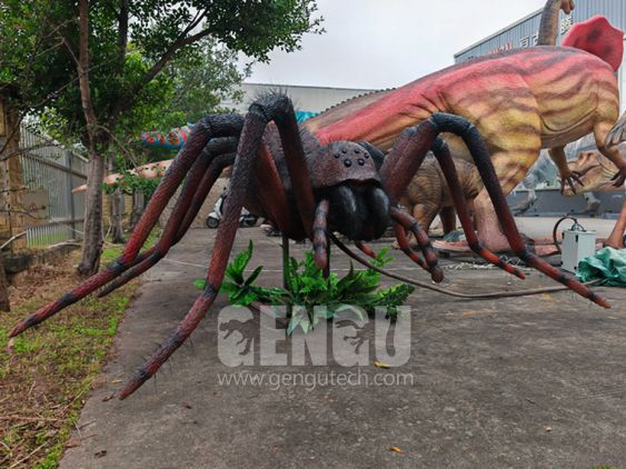 Spider
