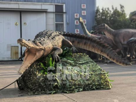 Crocodile