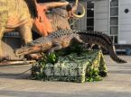 Crocodile