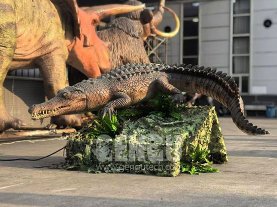 Crocodile