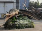 Crocodile