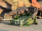 Crocodile