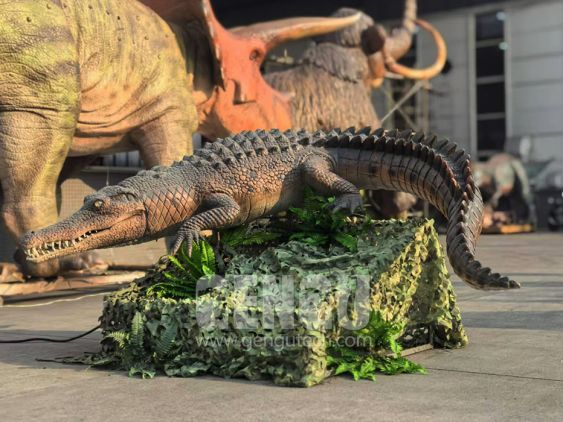 Crocodile