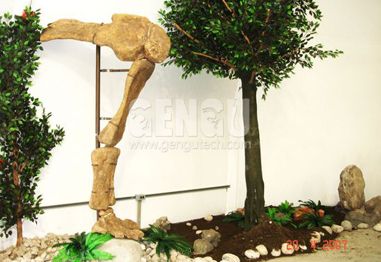 How to Buy Dinosaur Fossils?