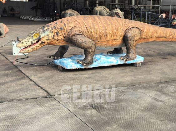 Monitor Lizard