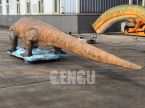 Monitor Lizard