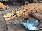 Monitor Lizard