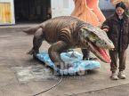 Monitor Lizard