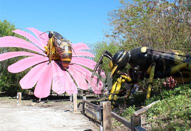 A Quick Guide to Animatronic Insects