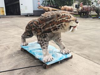 Saber-toothed Tiger
