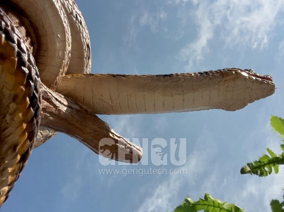 Snake