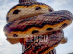 Snake