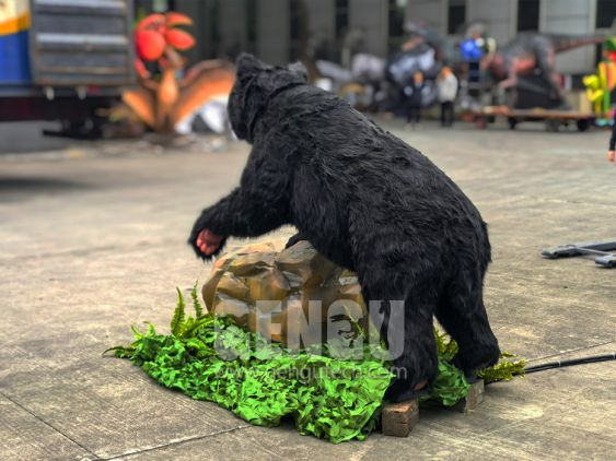Black Bear